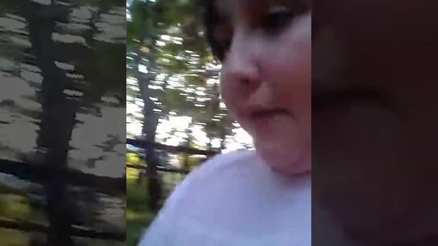 Слизни в лесу