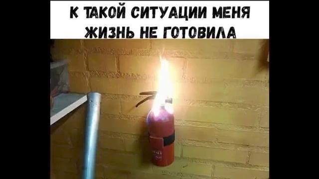 сосиски от Смешариков