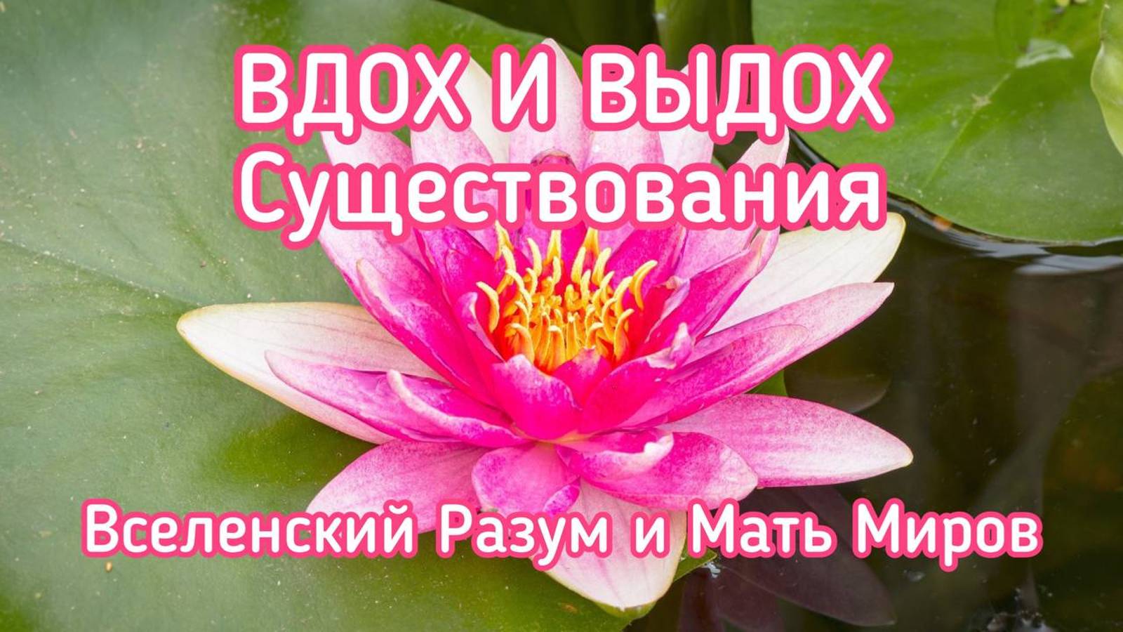 ВДОХ И ВЫДОХ СУЩЕСТВОВАНИЯ / ВСЕЛЕНСКИЙ РАЗУМ И МАТЬ МИРОВ
