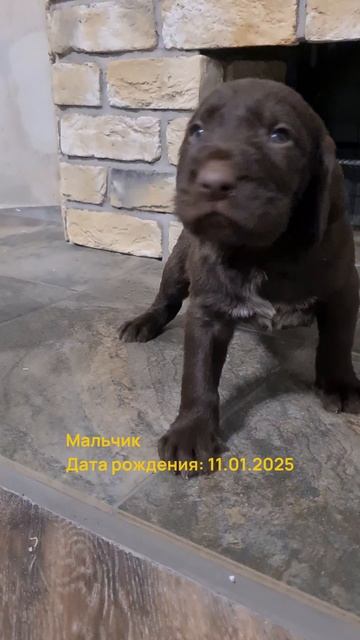 1000329828.mp4