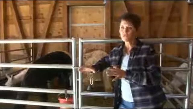 Alpaca History