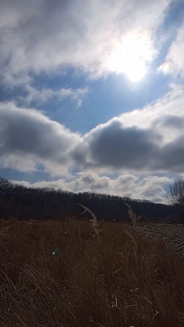 08.02.2025 #сегоднятак #сегодня #природа #nature #oggicosì #бүгін #oggi #hoy #今日 #today #오늘 #자연 #自然