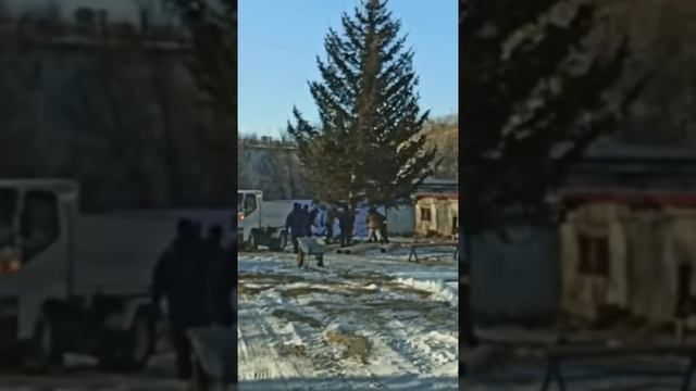 Установка Ёлки в Городском парке Благовещенска