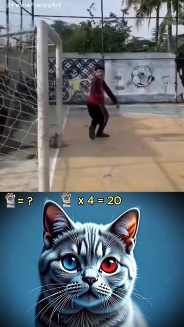 RONALDO SIUUUU