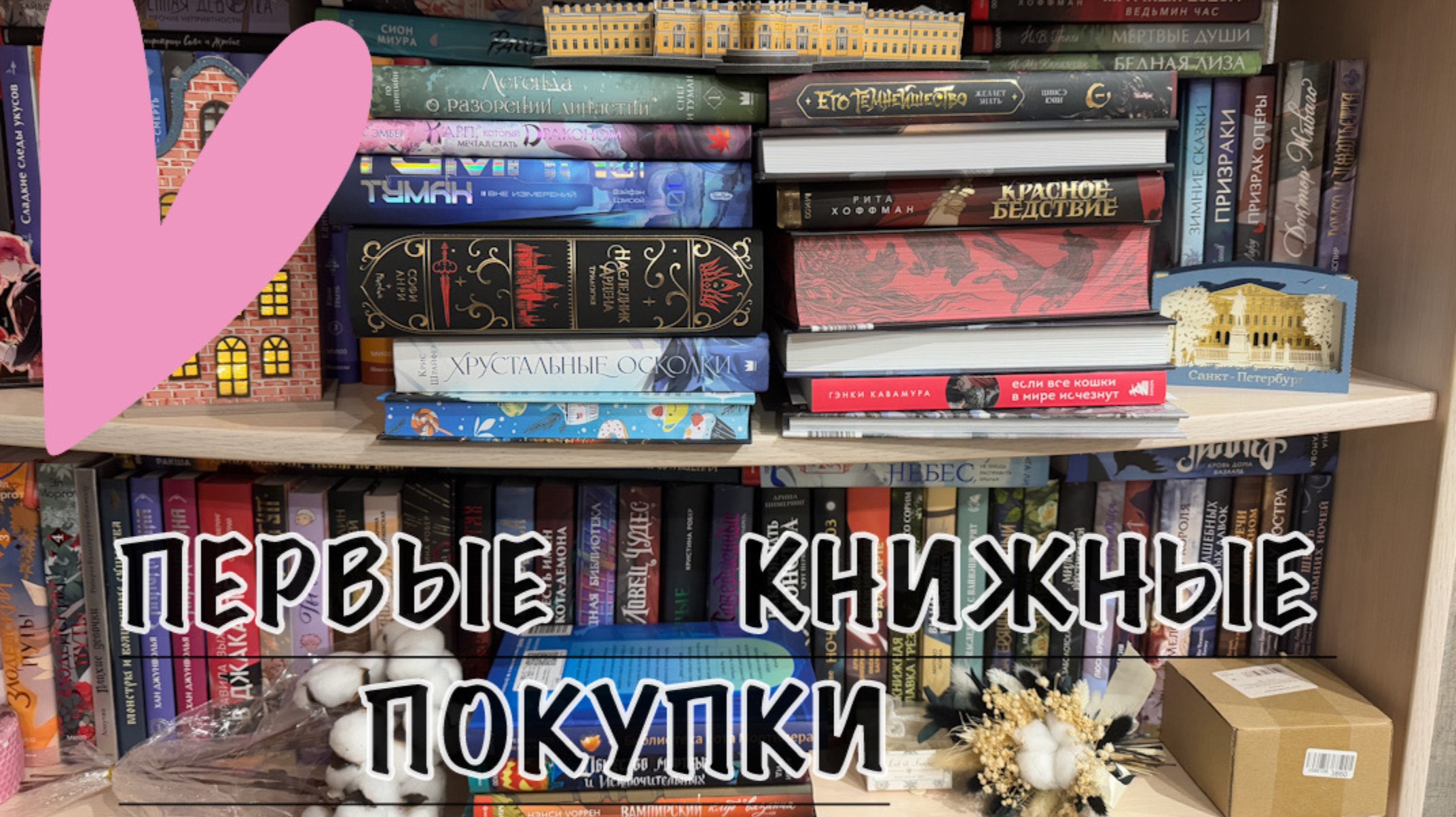 Книжные покупки нового 2025 года