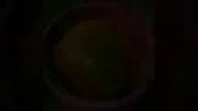 Как поймать крыс