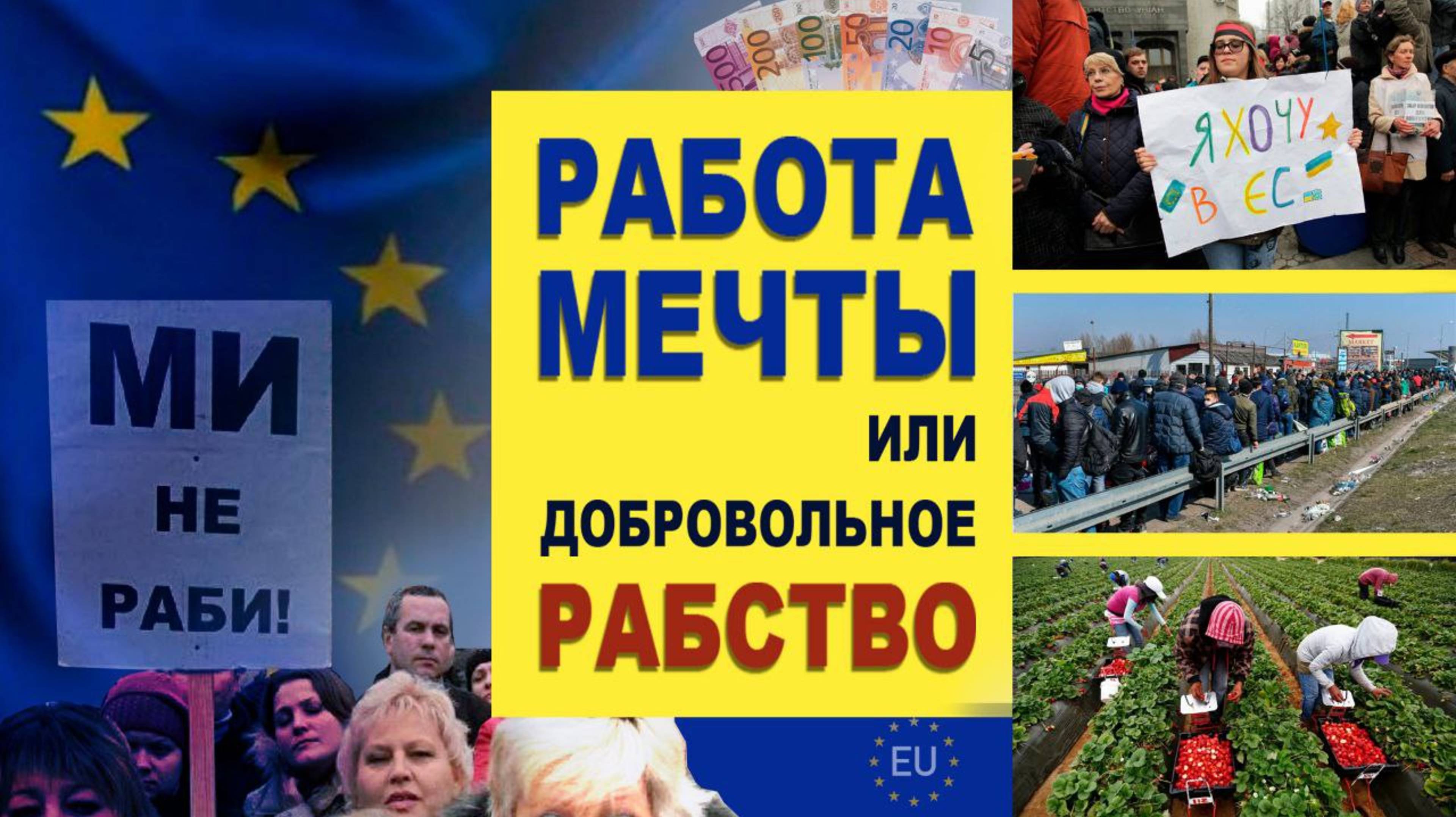 Работа мечты или добровольное рабство?
