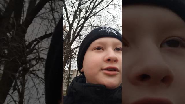 VID_20250208_110823.mp4