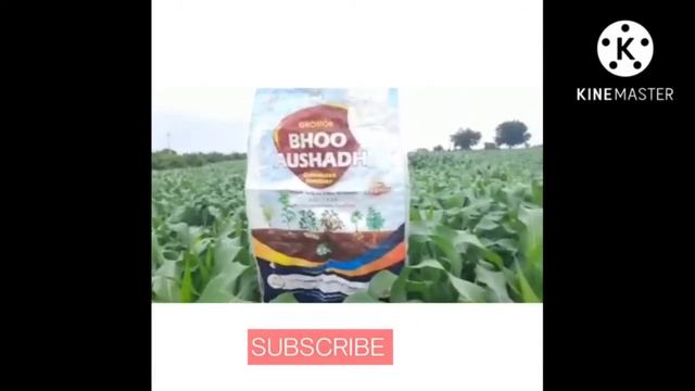Gromor BhooAushad uses in Maize crop | Coromandel Gromor BhooAushad upayogalu | Gromor BhooAushad