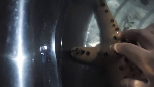 filipino chocolate chips sea star
