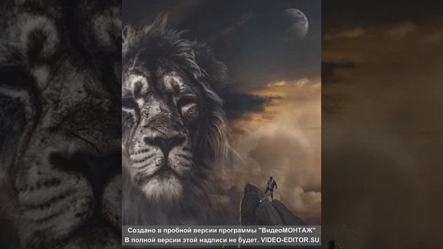 Tenca - Лев