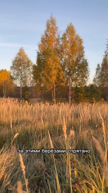 Участок Луговой рядом с  Хюгге Мальцево