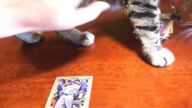 2019 Gypsy Queen Set Fillers