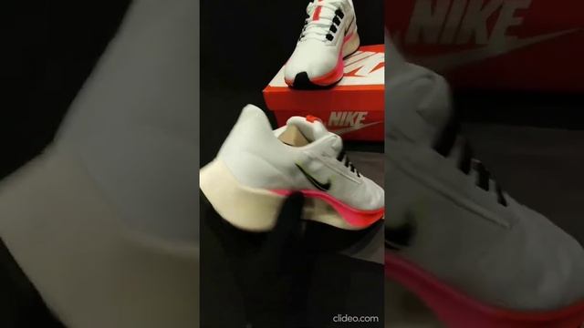 Pegasus 38