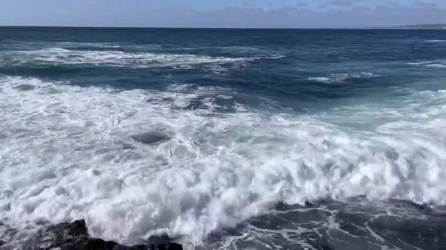La Jolla Cove Day Trip | La Jolla, CA 03.29.22