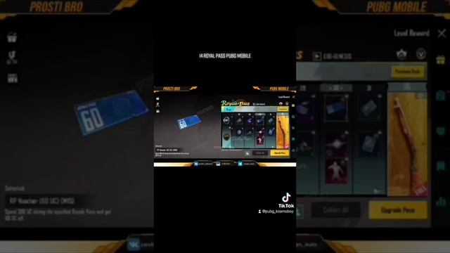 Слив 14 Royale Pass в PUBGmobile