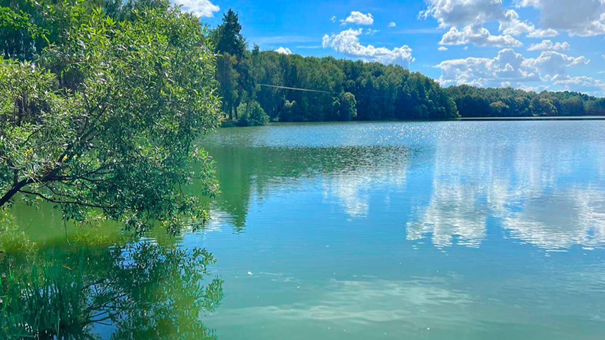 Облет посёлка лето 2024