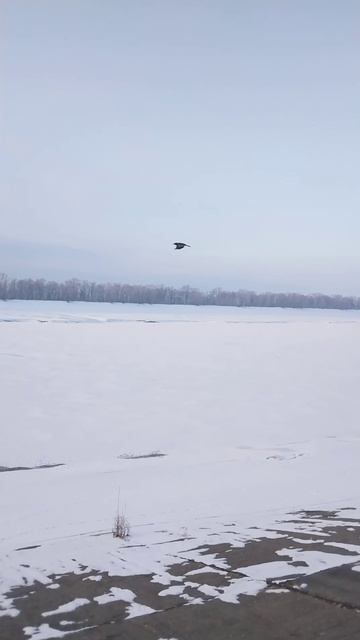 Солнце и мороз