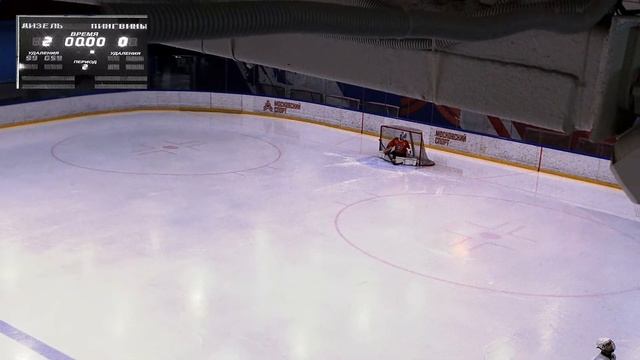 20.01.24 Дизель : Пингвины