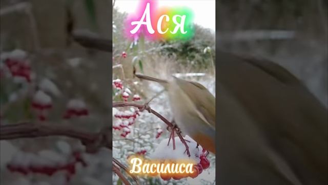 Авторская песня