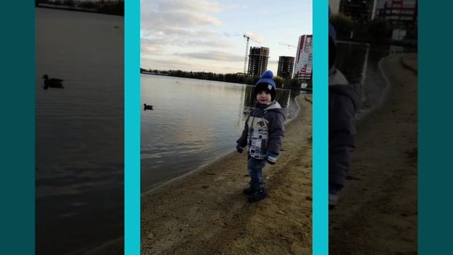 ПокормитеПтицЗимойДсСпутник