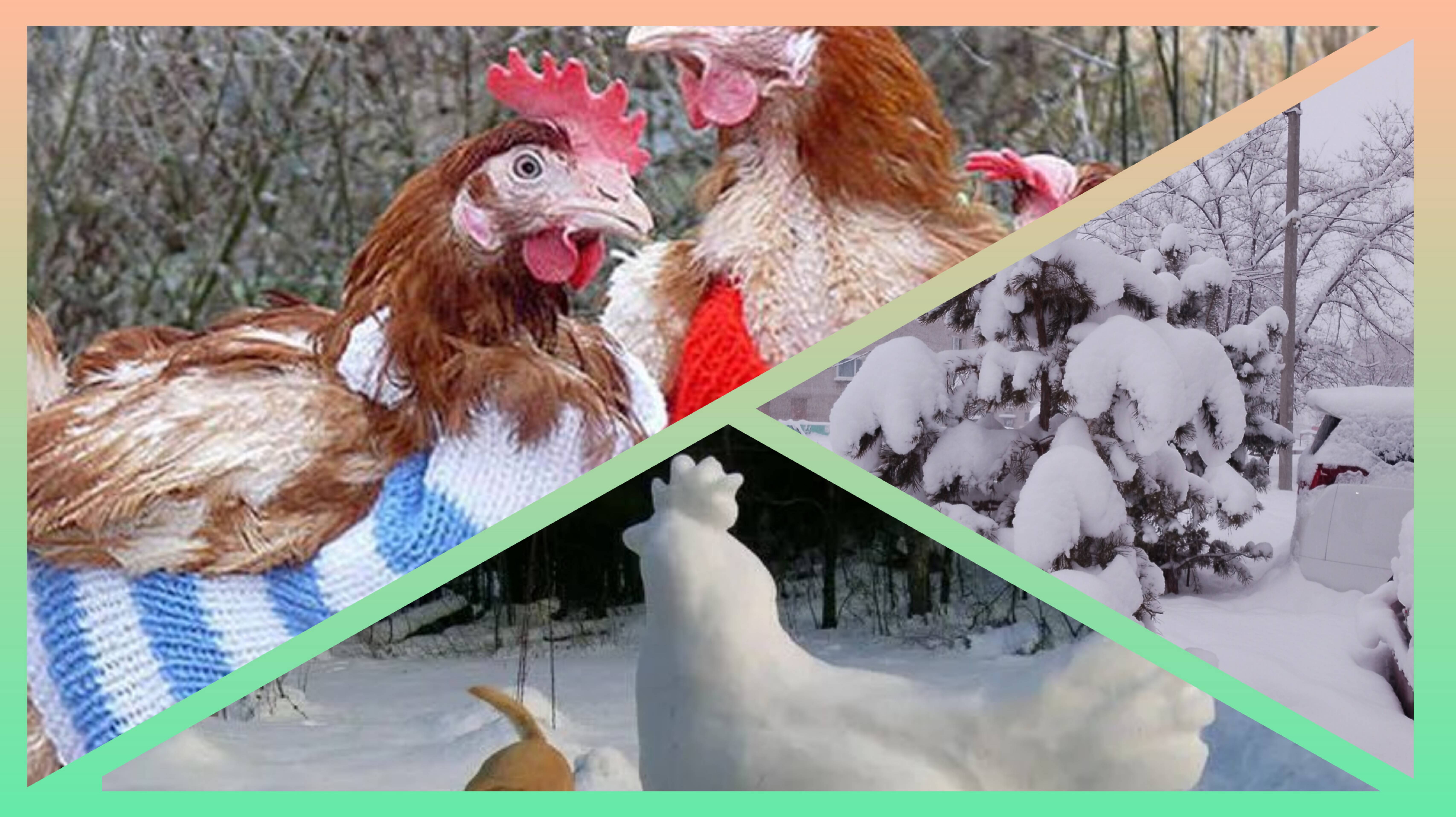 Курочки на 8 февраля (снегом замело...)