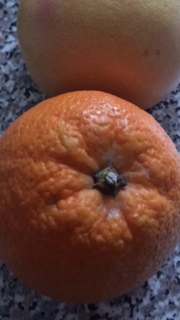 #shorts#orange#grapefruit#mandarin