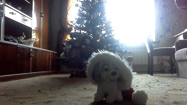 Новогодняя ночь в год собаки🐶🌲⛄❄❤