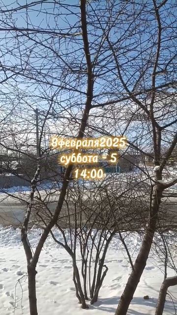 08февраля2025