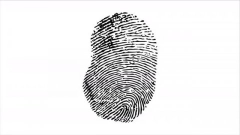 Отпечатки пальцев...