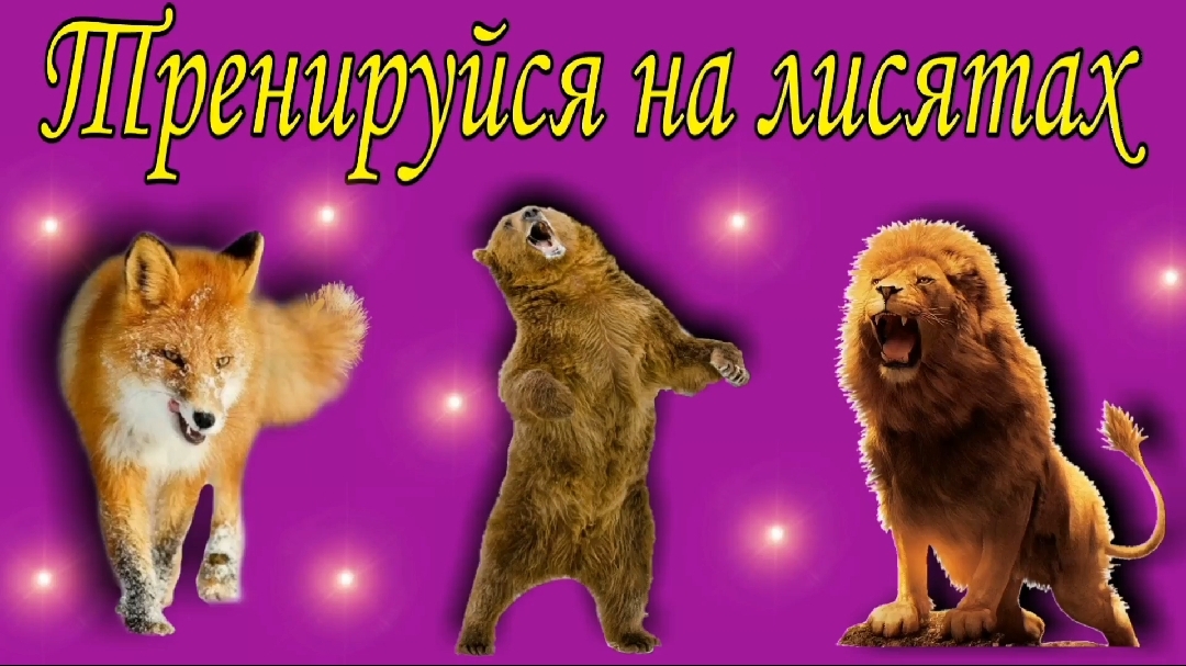 Тренируйся на лисятах