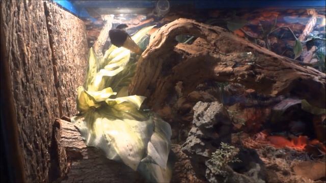 A day in the life of a L.WilliamsI