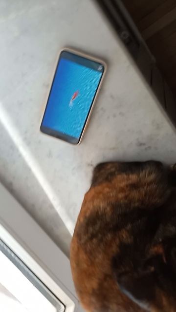 1000003262.mp4
