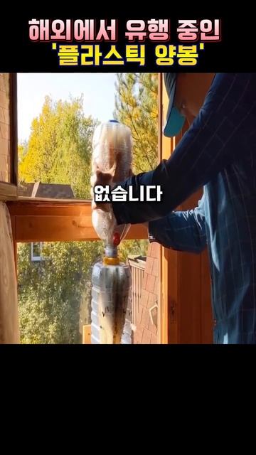 한국에서 찾기 힘든 플라스틱 양봉