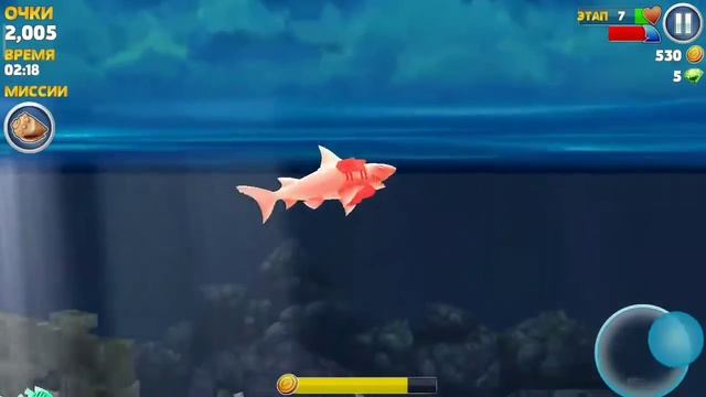 голодная акула Hangry Shark