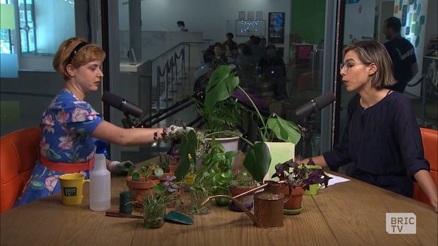 Plant Parenthood | 112BK