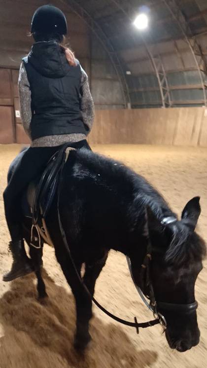 Наоми и Саша, шагаем задом наперед. #horse #equestrian #лошади #pony