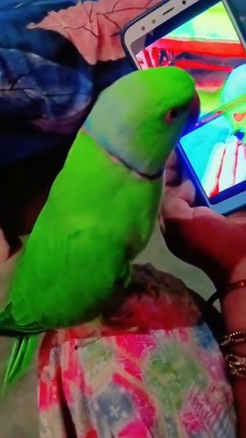 mithu funny video
