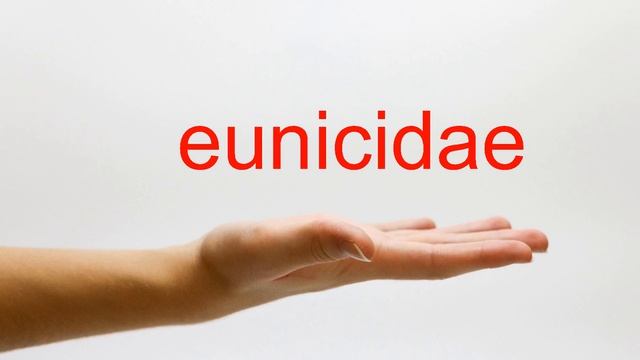 How to Pronounce eunicidae - American English