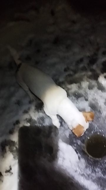 Помощник от Бога 👍👍👍