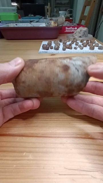 Фрагмент геологического керна из кварцита с Вишнёвых гор
