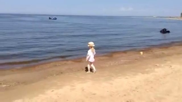 Сосновый Бор 2014