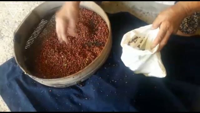 Sumak Ekşisi Nasıl Yapılır Tarifi ve Yapılışı HD