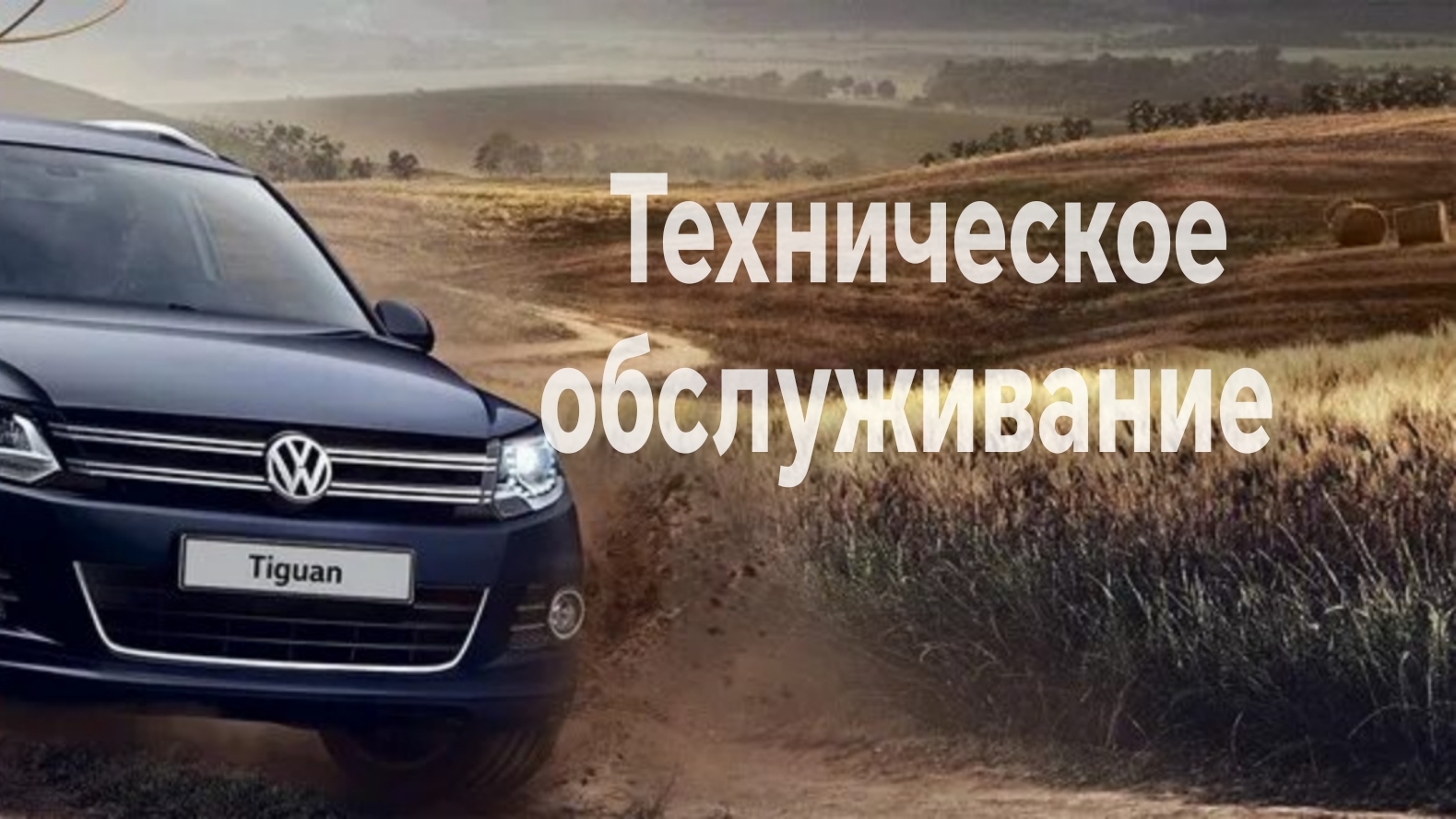 Техническое обслуживание Tiguan