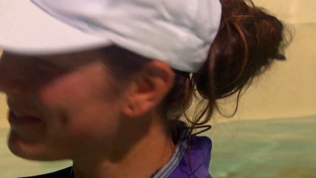 Dans les coulisses du plus grand zoo marin d'Europe, le Marineland - Documentaire complet - AMP