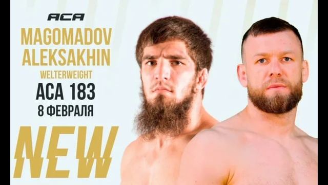 Бой Магомадов – Алексахин 8 февраля 2025