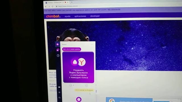 КРИПИПАСТНЫЙ-ПИЛА ЧИМБОТ