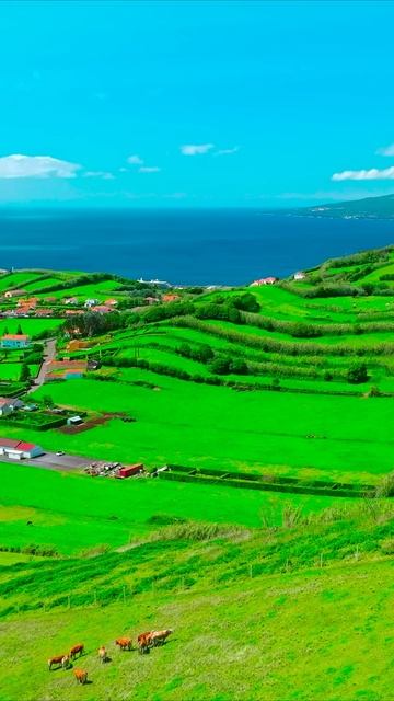 Земля с высоты душа замирает от этой красоты лучшее видео природы