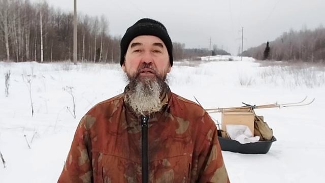В чём причина гибели пчёл на лесной пасеке.
