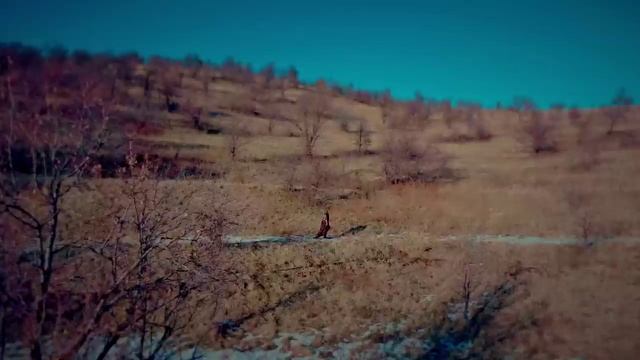 Митя Фомин Удивительная
